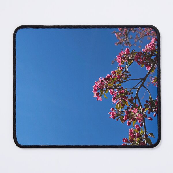 Item preview, Pink Blossoms in Bright Sun designed and sold by Quincy-Hedgehog.