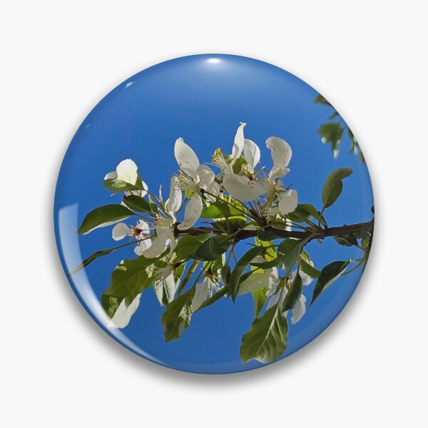 Item preview, White Blossoms with Clear Sky designed and sold by Quincy-Hedgehog.