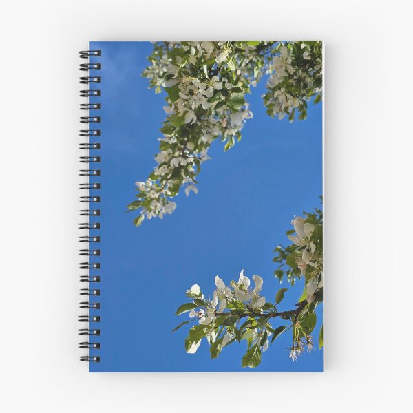 Item preview, White Blossoms with Clear Sky designed and sold by Quincy-Hedgehog.