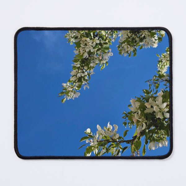 Item preview, White Blossoms with Clear Sky designed and sold by Quincy-Hedgehog.