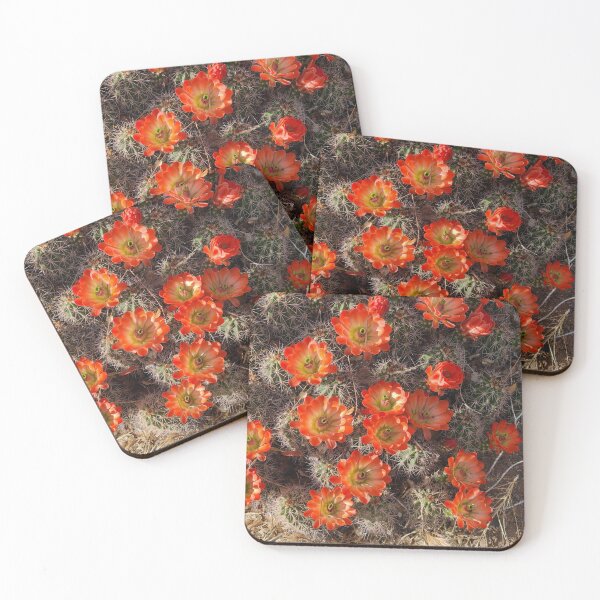 Item preview, Cactus Blossoms designed and sold by GrowToLove.