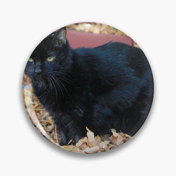 Item preview, Black Cat in Leaves designed and sold by ErinShayPhotos.