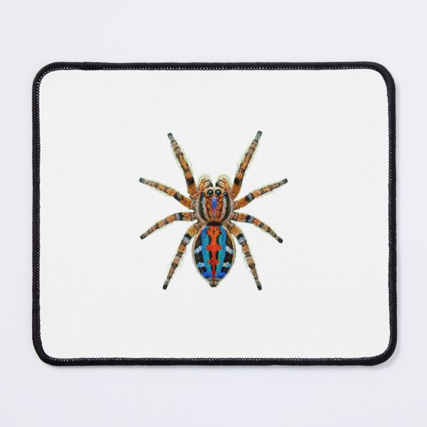 Item preview, Colorful Jumping Spider designed and sold by Fabrifrank.