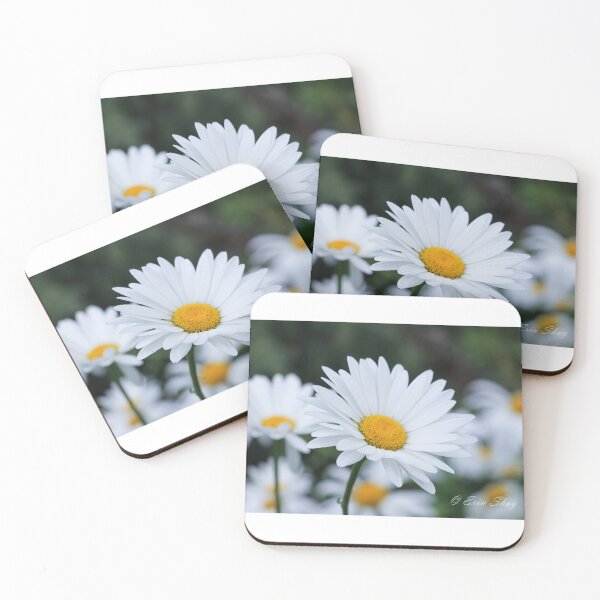 Item preview, Daisy Field designed and sold by ErinShayPhotos.