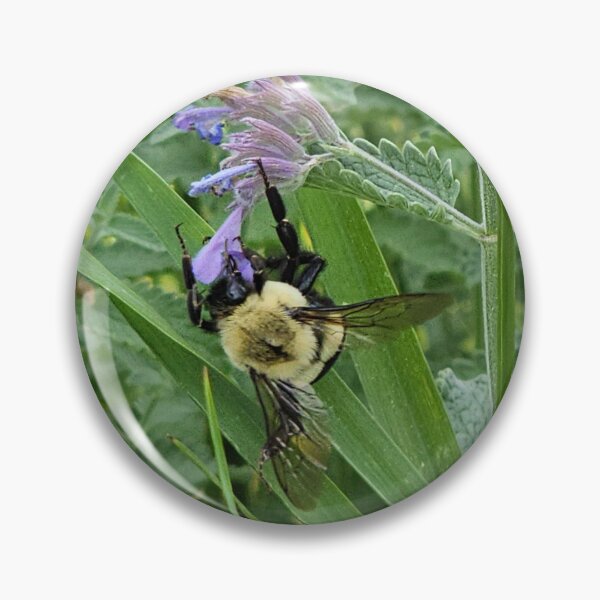 Item preview, Bee in the Cat Mint designed and sold by Quincy-Hedgehog.