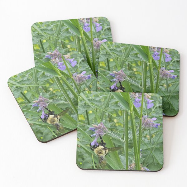 Item preview, Bee in the Cat Mint designed and sold by Quincy-Hedgehog.