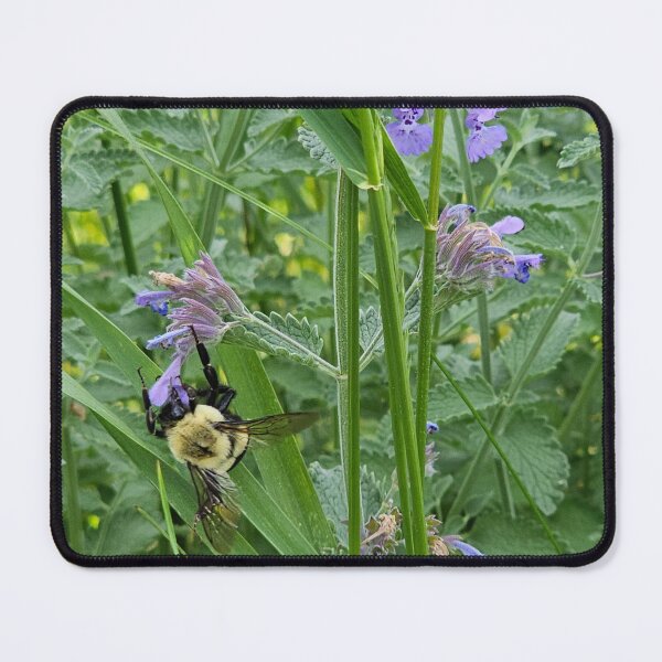 Item preview, Bee in the Cat Mint designed and sold by Quincy-Hedgehog.