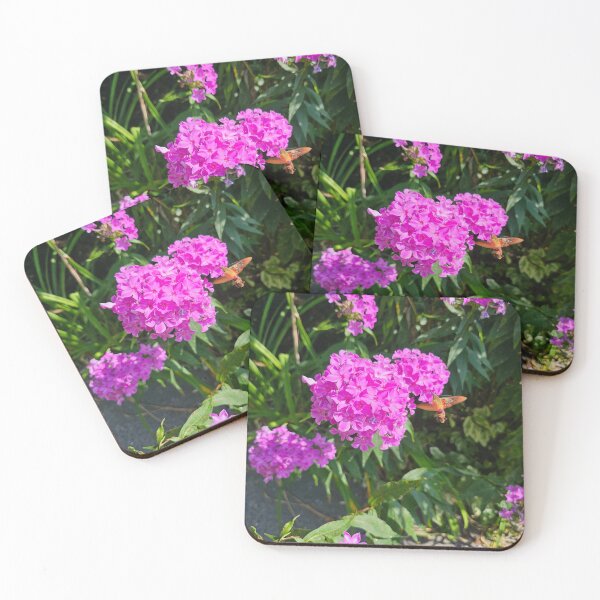 Item preview, Hummingbird Clearwing at the Phlox designed and sold by Quincy-Hedgehog.