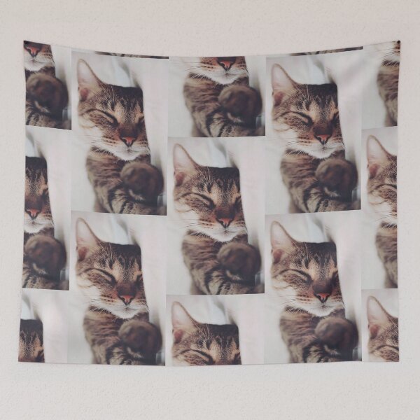 Item preview.