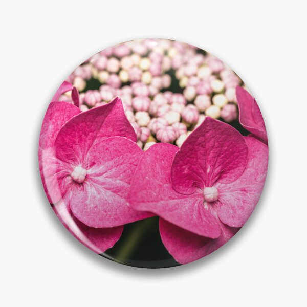 Item preview, Vibrant Pink Hydrangea Macro Photography designed and sold by Rabee Khalil Photography.