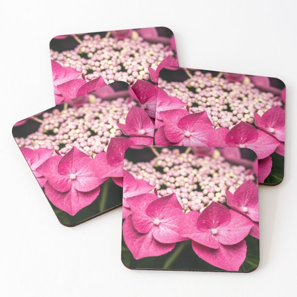 Item preview, Vibrant Pink Hydrangea Macro Photography designed and sold by Rabee Khalil Photography.