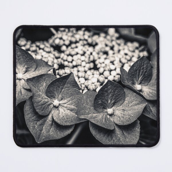 Item preview, Black and White Hydrangea Macro Photography designed and sold by Rabee Khalil Photography.