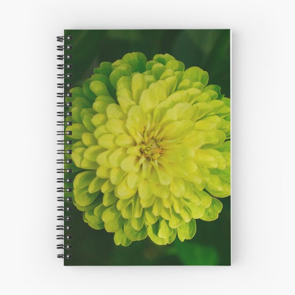 Item preview, Envy Zinnia Bloom 1x1 designed and sold by PhotoArtbyGrace.