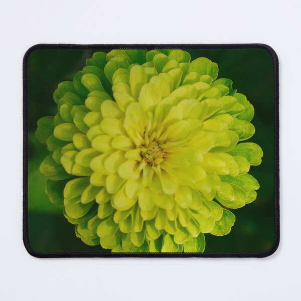 Item preview, Envy Zinnia Bloom 1x1 designed and sold by PhotoArtbyGrace.