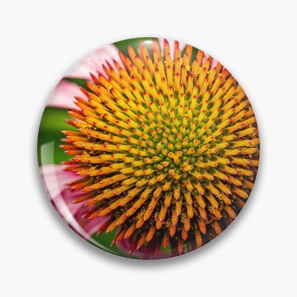 Item preview, Echinacea Coneflower Macro Photography designed and sold by Rabee Khalil Photography.