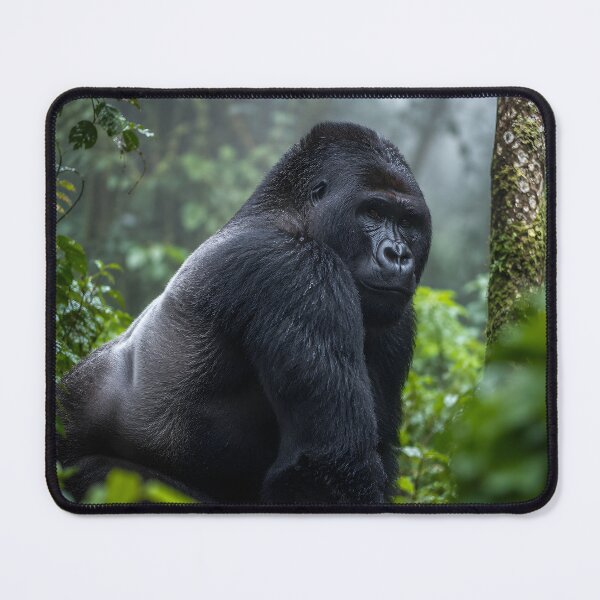 Item preview, Majestic Mountain Gorilla in Misty Jungle designed and sold by SavannaCanvas.