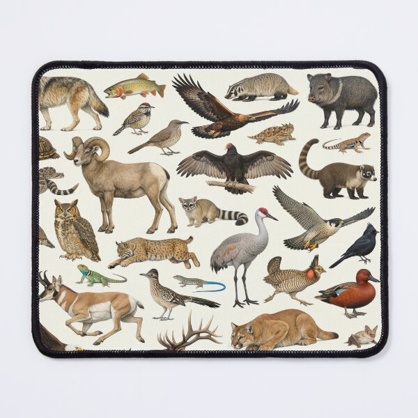 Item preview, Animals of New Mexico Retro Style Identification Chart designed and sold by kakarikihill.