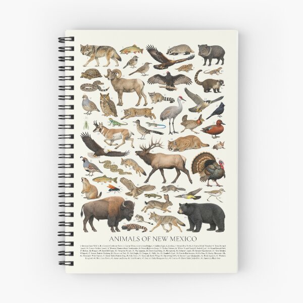 Item preview, Animals of New Mexico Retro Style Identification Chart designed and sold by kakarikihill.