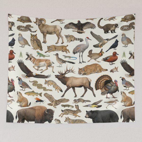 Item preview, Animals of New Mexico Retro Style Identification Chart designed and sold by kakarikihill.