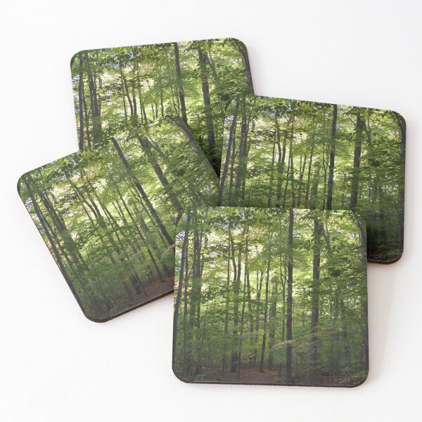 Item preview, FOREST IN SPRING . ݁₊ ⊹ . ݁˖ . ݁ designed and sold by couldawentpro.