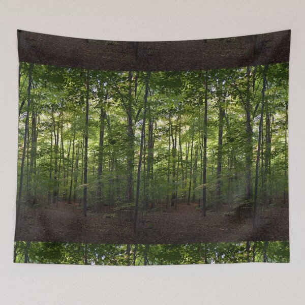 Item preview, FOREST IN SPRING . ݁₊ ⊹ . ݁˖ . ݁ designed and sold by couldawentpro.