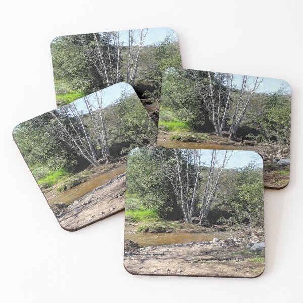 Item preview, San Diego Nature in Winter designed and sold by heatherfriedman.