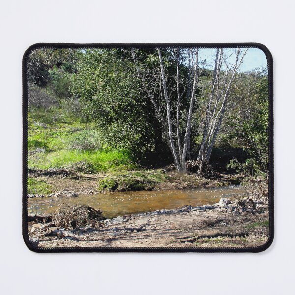 Item preview, San Diego Nature in Winter designed and sold by heatherfriedman.