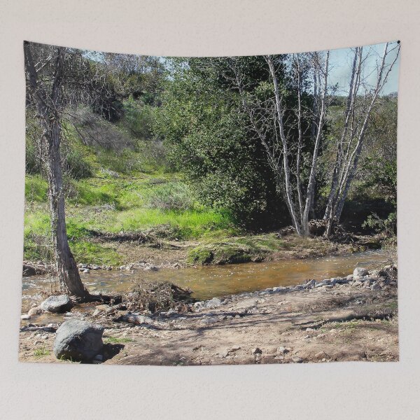 Item preview, San Diego Nature in Winter designed and sold by heatherfriedman.