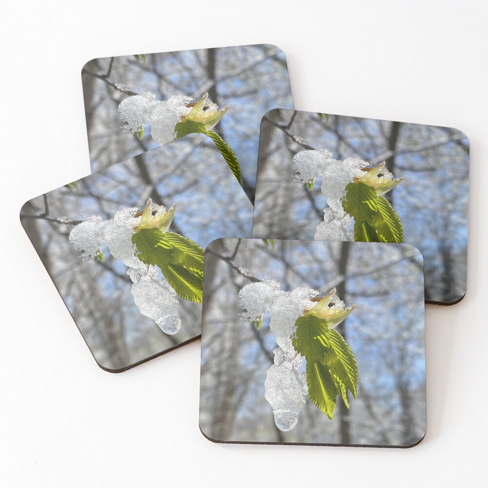 Item preview, Coasters (Set of 4) designed and sold by R-Rayton.