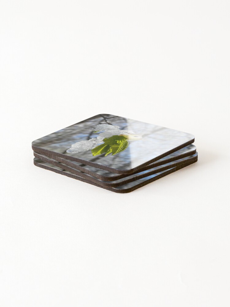 Thumbnail 4 of 5, Coasters (Set of 4), Melting designed and sold by R-Rayton.