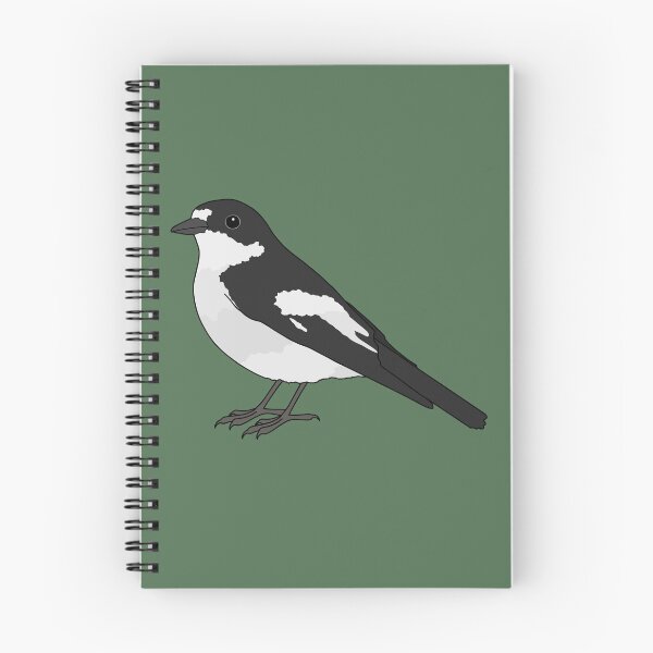 Item preview, Pied flycatcher designed and sold by taylorrowan.