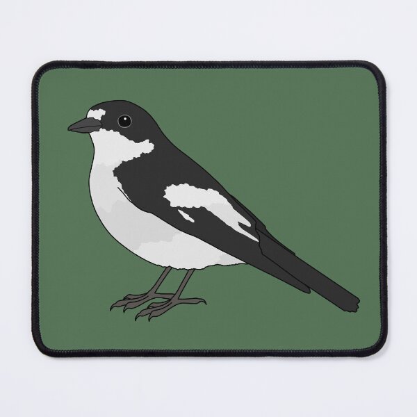 Item preview, Pied flycatcher designed and sold by taylorrowan.