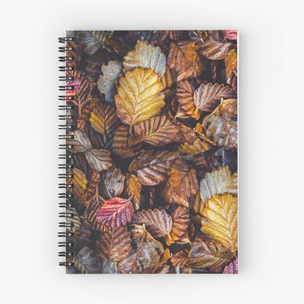 Item preview, Fagus Fall designed and sold by SpottedQuoll.