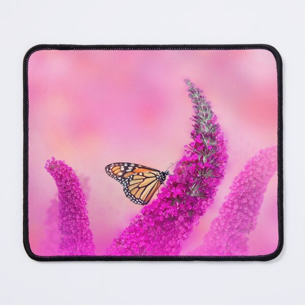 Item preview, Monarch Butterfly  feeding on Flowers designed and sold by svetlanna.