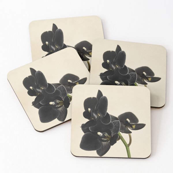 Item preview, Black Orchid designed and sold by Charisma Enigma.