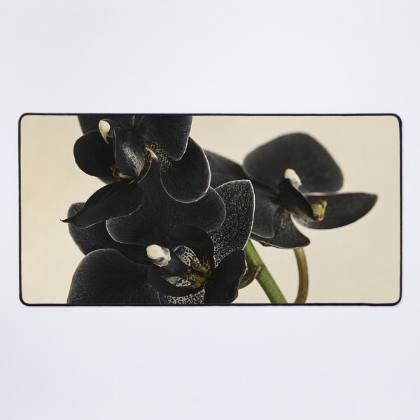 Item preview, Black Orchid designed and sold by Charisma Enigma.