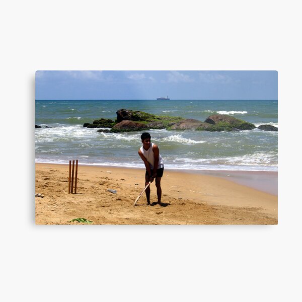 Cricket, lovely cricket ... Metal Print
