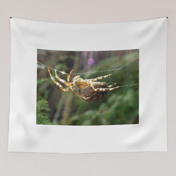 Item preview, spider spinning its web designed and sold by 6059.