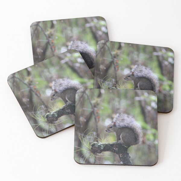 Item preview, Cute squirrel on the trail designed and sold by Jmb67.