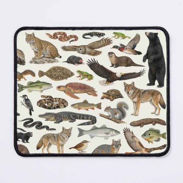 Item preview, Animals of North Carolina Retro Style Identification Chart designed and sold by kakarikihill.