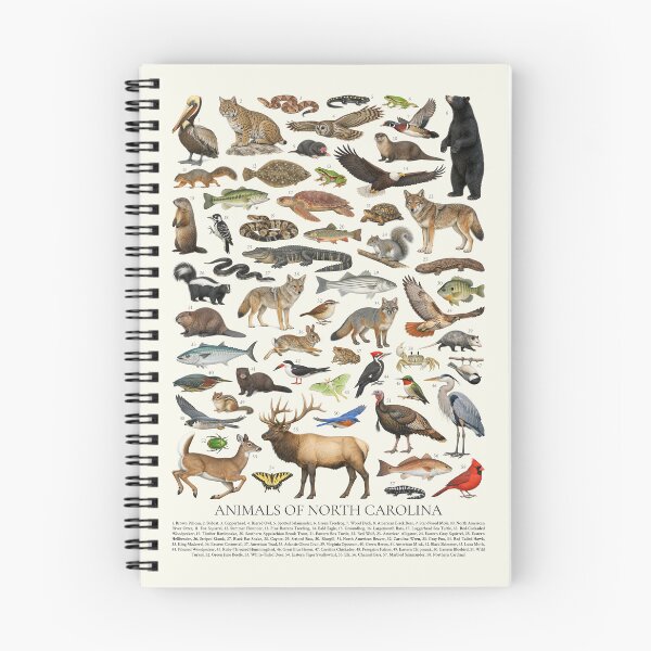 Item preview, Animals of North Carolina Retro Style Identification Chart designed and sold by kakarikihill.