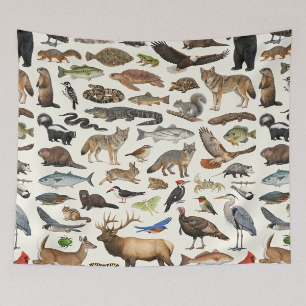 Item preview, Animals of North Carolina Retro Style Identification Chart designed and sold by kakarikihill.