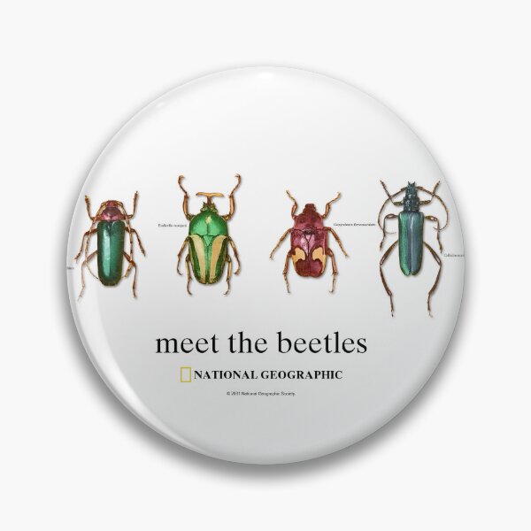 Item preview, Colorful Beetle Collection Vintage Entomology Design designed and sold by MentalPanic.