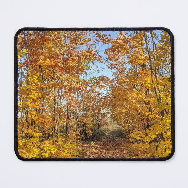 Item preview, Fall - Ontario designed and sold by Sumoud.