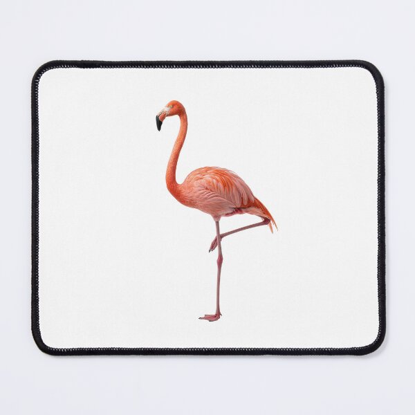 Item preview, Flamingo Standing on One Leg designed and sold by ArunDandiboina.