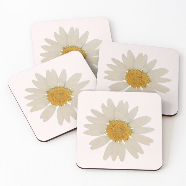 Artikelvorschau, Aufkleber mit gepressten Gänseblümchen – Pastellfarbene Blumenillustration entworfen und verkauft von PenseeVagabonde.