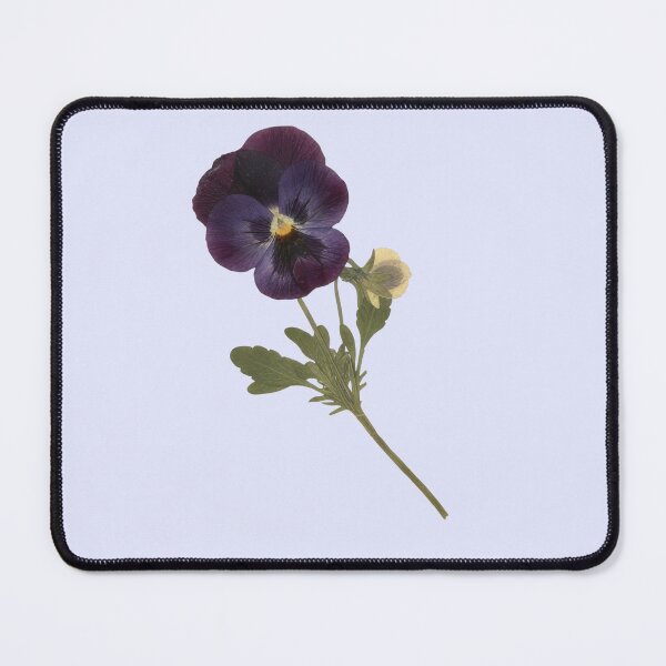 Item preview, Dark Purple & Blue Pansy Sticker — Pressed Flower Illustration designed and sold by PenseeVagabonde.