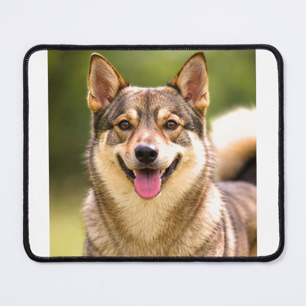 Item preview, Swedish Vallhund Dog designed and sold by BackgroundND.