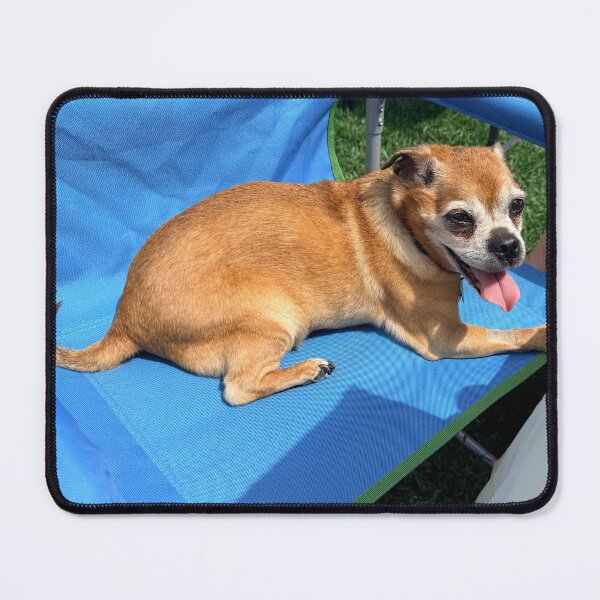 Item preview, Sunbathing Doggo designed and sold by Couple-of-Bahds.