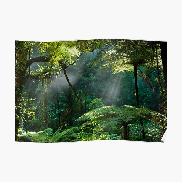 Morning Mist. Poster